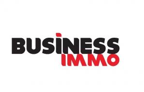 Dugue business immo